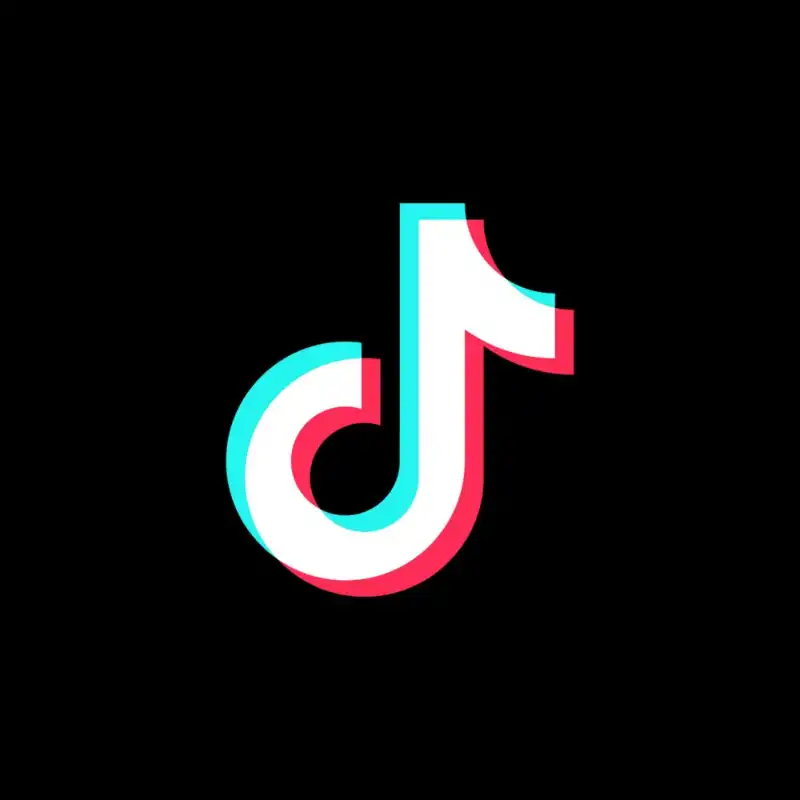 TikTok video indirici
